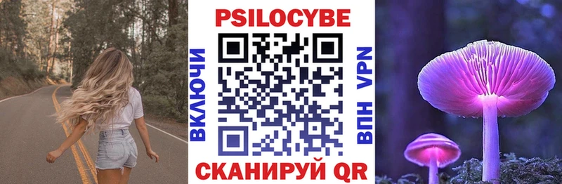 купить закладку  Дюртюли  Псилоцибиновые грибы Psilocybine cubensis 